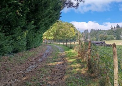 Propriété en pleine nature avec logements indépendants