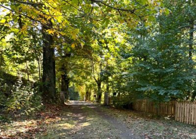 Magnifique ancien moulin en pierre avec dépendances