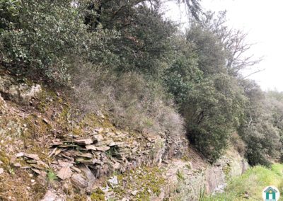 Parcelle de bois non constructible avec jolie vue