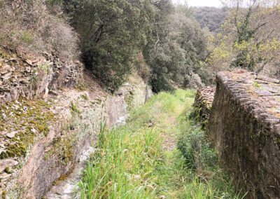 Parcelle de bois non constructible avec jolie vue