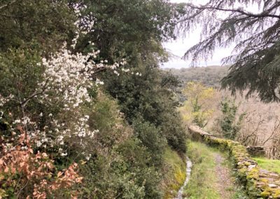 Parcelle de bois non constructible avec jolie vue