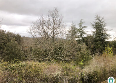 Bois non constructibles de 3108 m²