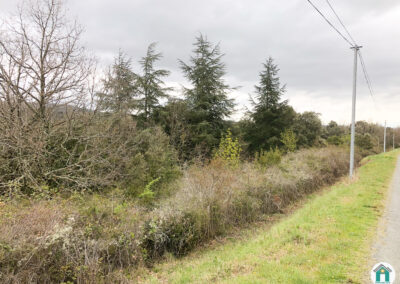 Bois non constructibles de 3108 m²