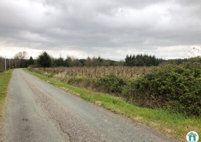 Bois non constructibles de 3108 m²