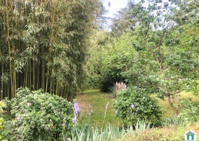 Belle propriété en pierre avec terrain et source
