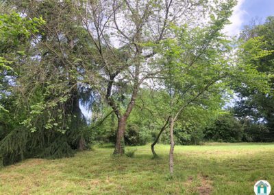 Belle propriété en pierre avec terrain et source