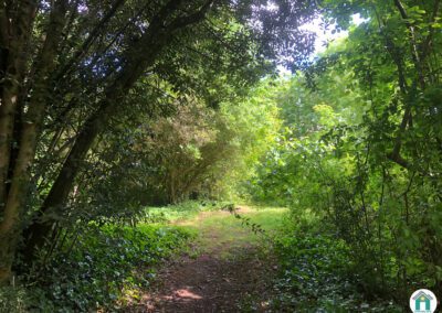 Belle propriété en pierre avec terrain et source