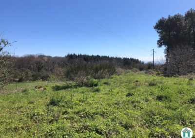 Joli terrain constructible de 863 m²