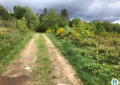 Parcelle de Landes