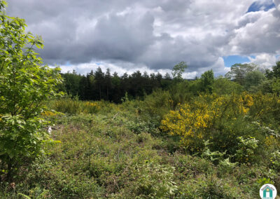 Parcelle de Landes