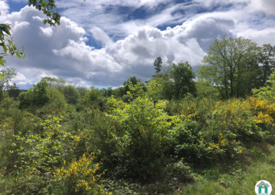 Parcelle de Landes